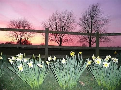 Mayfield B&B Marlborough Bagian luar foto